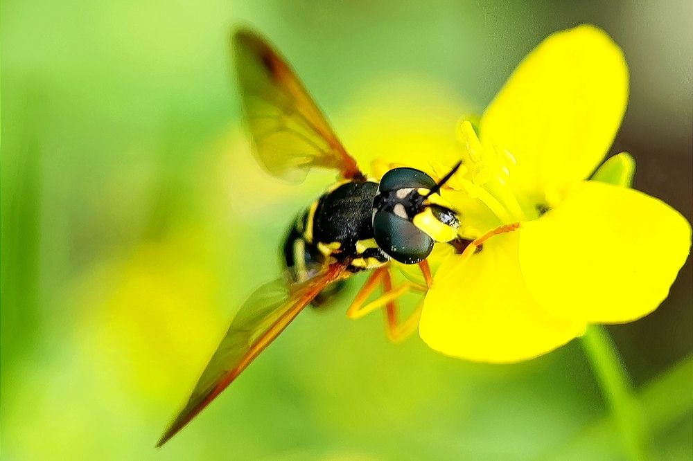 Photograph by Ольга Метлицкая