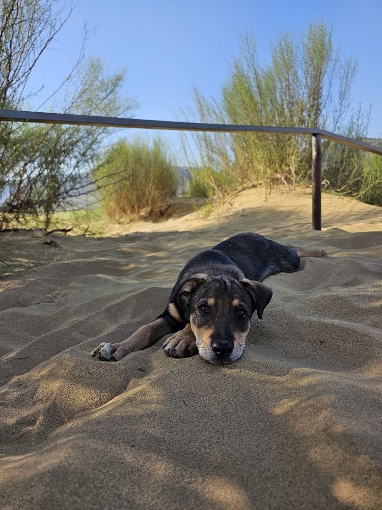 Photograph by Наталья Каплина