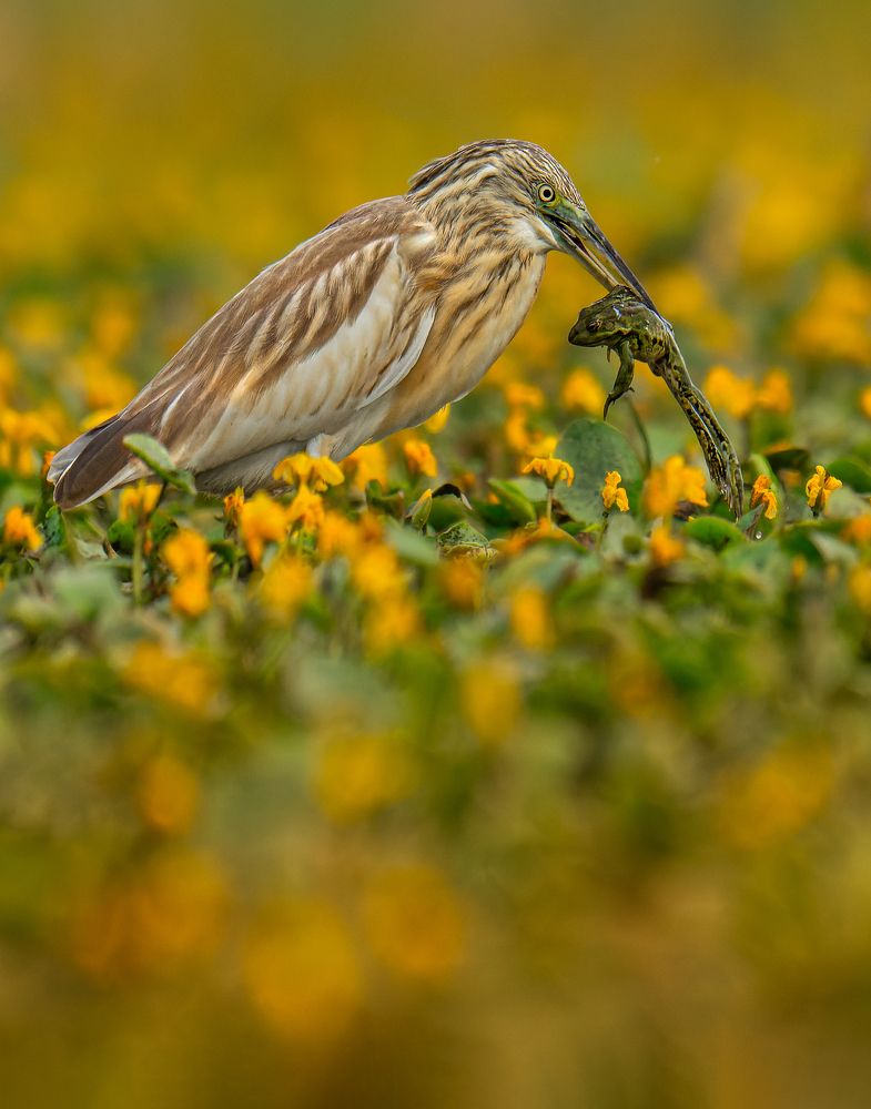 Photograph by Tímea Ambrus