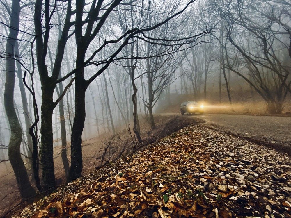 Photograph by Lesya Mikheeva