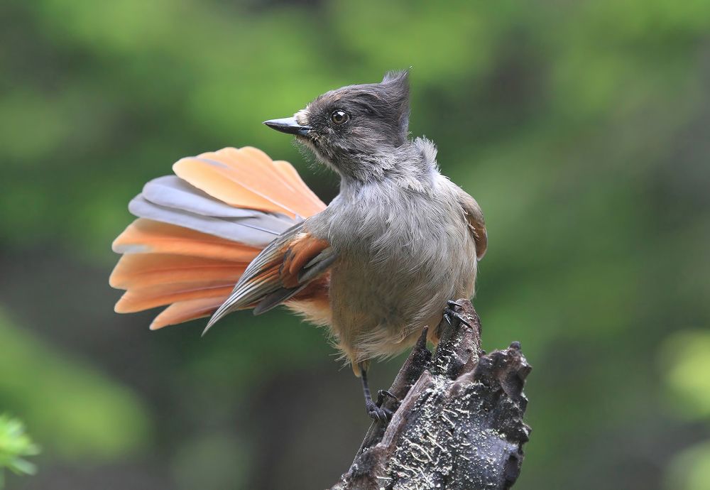 Photograph by Валерий Платонов