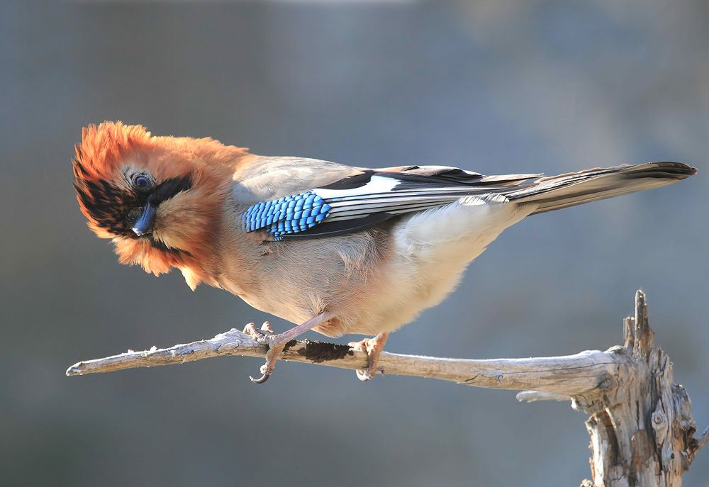 Photograph by Валерий Платонов