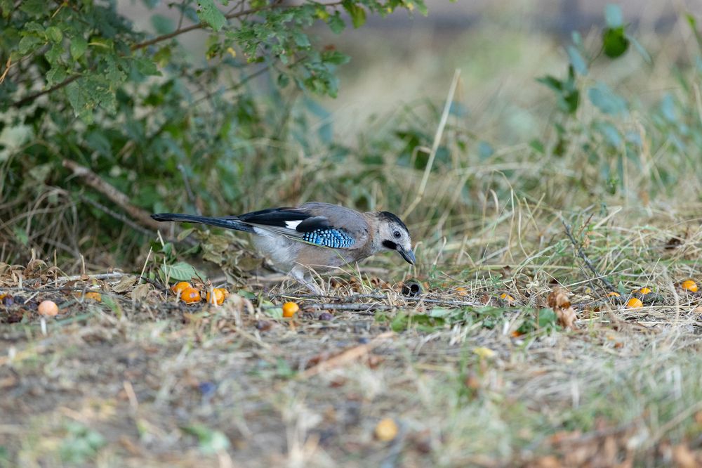Photograph by Денис Есаков
