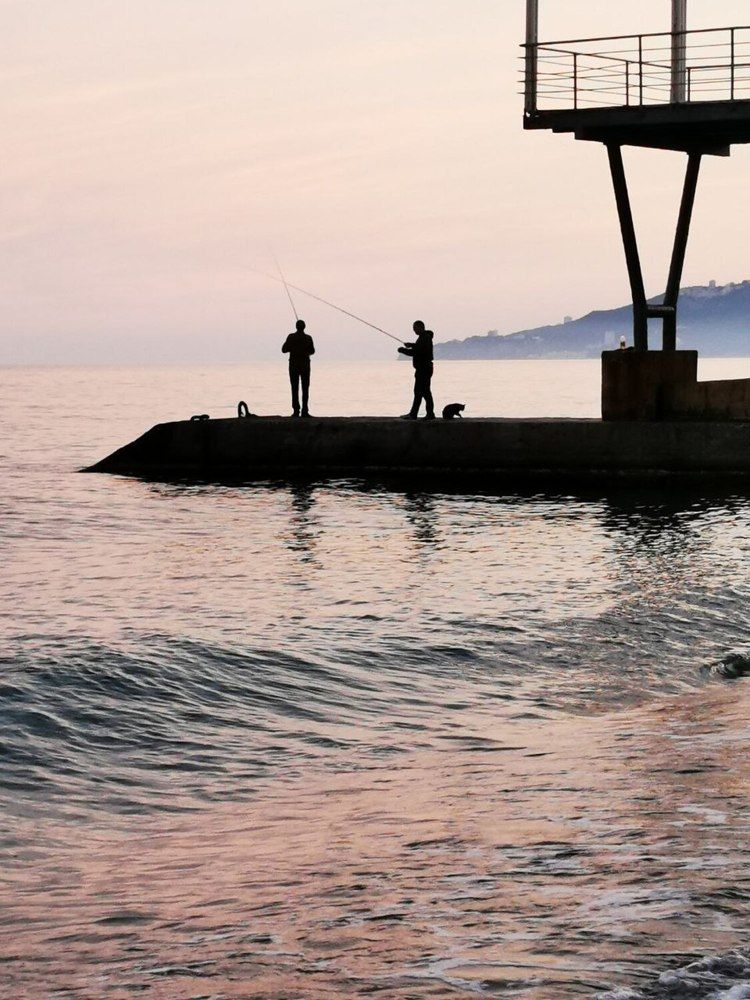 Фотография автора Андрей Богданов