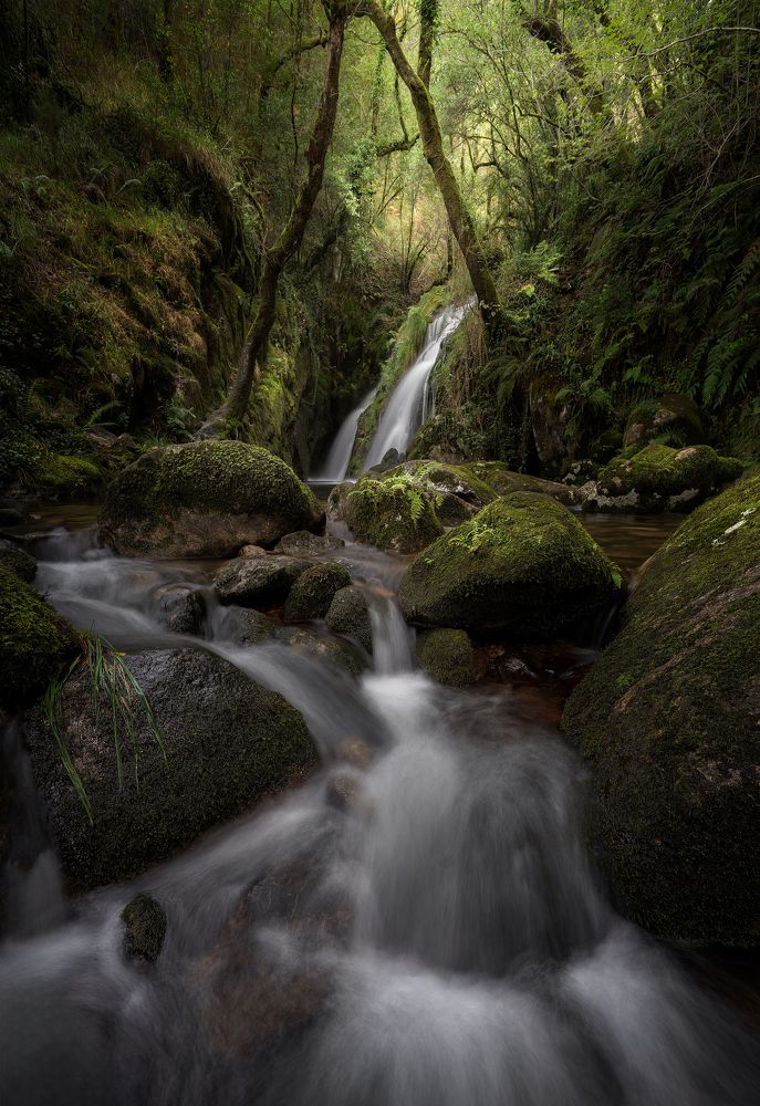 Photograph by Miguel Iglesias