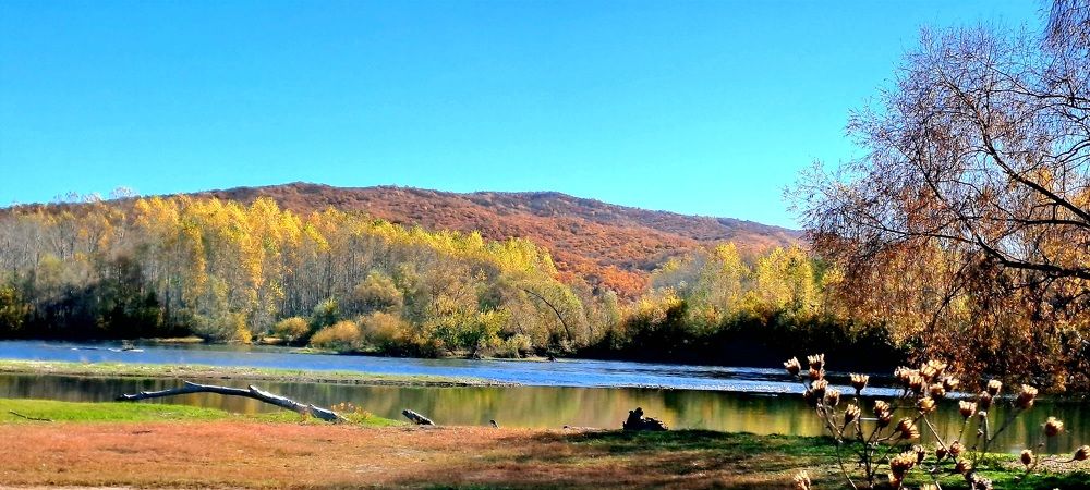 Photograph by Александра Насырова