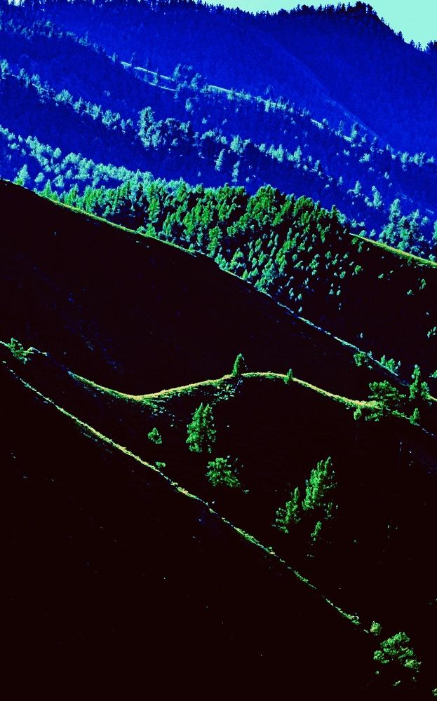 Photograph by Batsaikhan Badamdorj