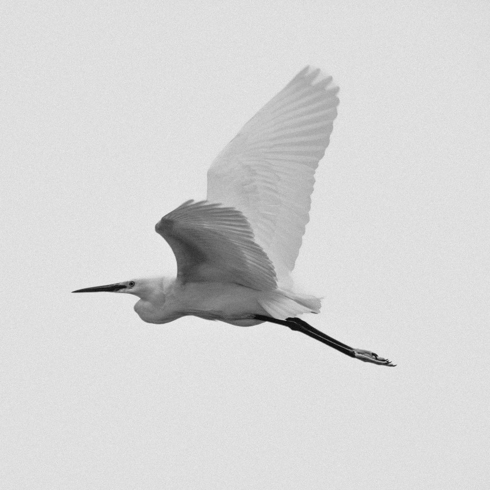 Фотография автора farshad shahani