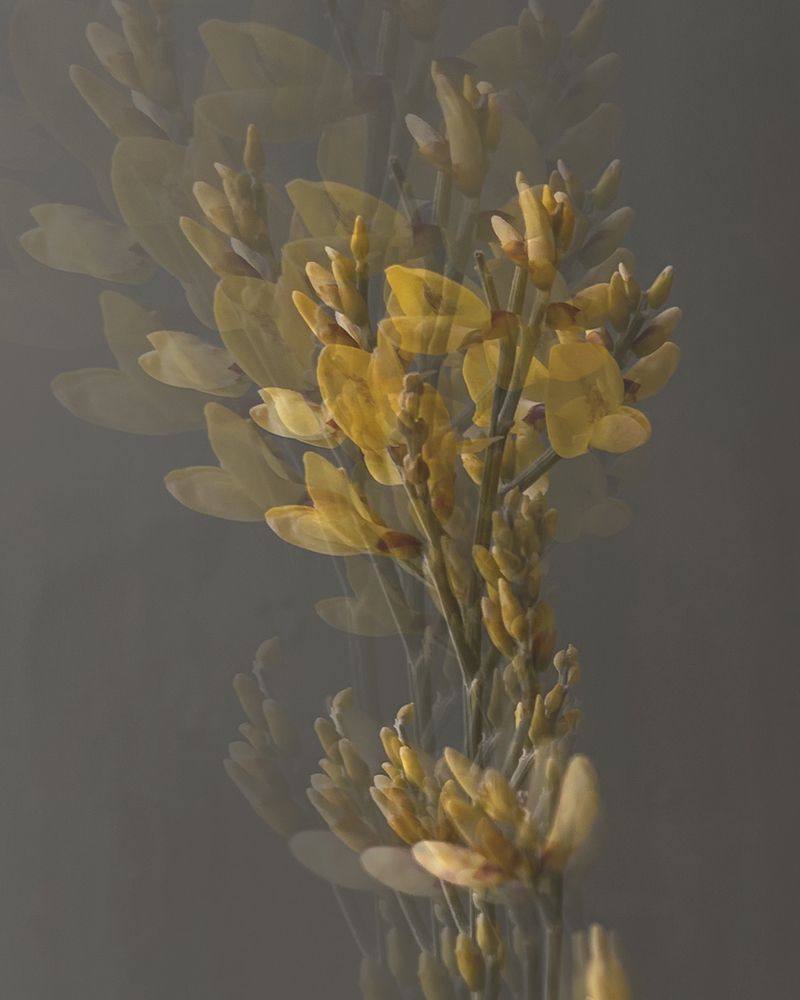 Photograph by Екатерина Кузнецова