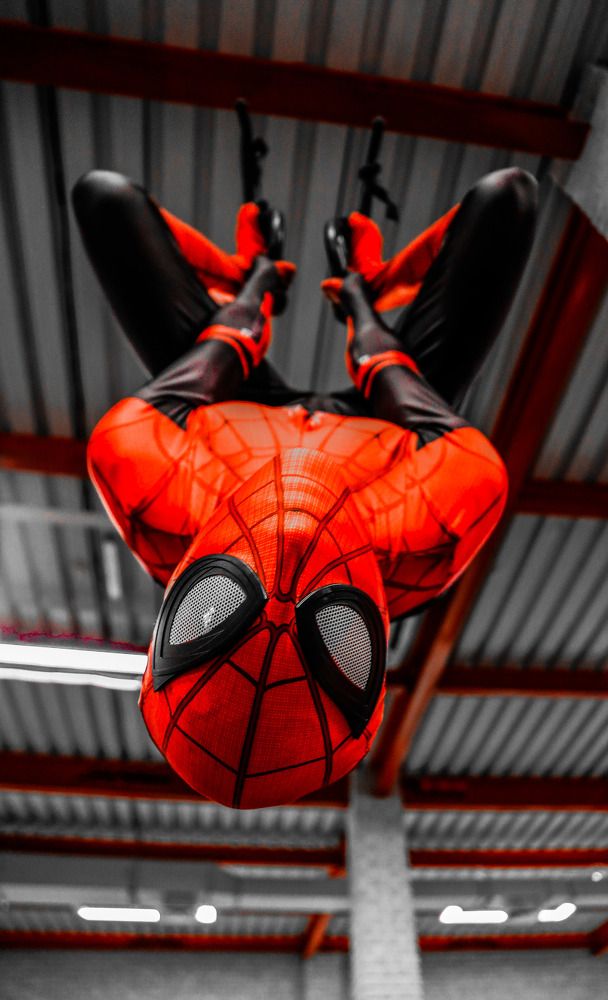 Фотография автора Юлия Егорова