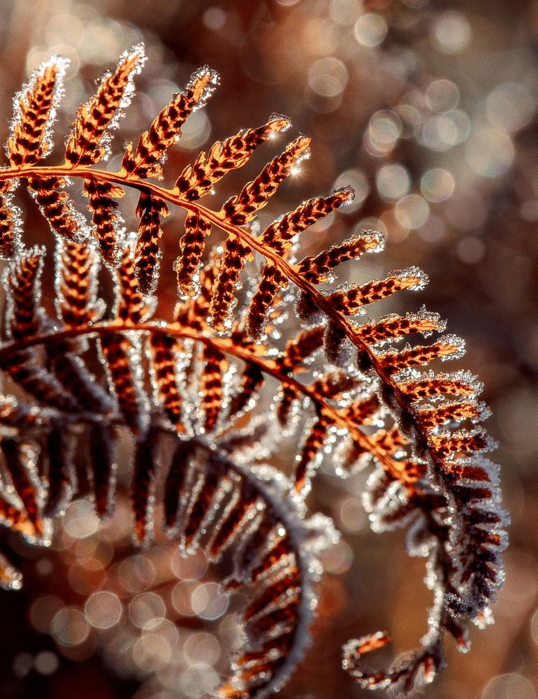 Фотография автора Ольга Анисимова