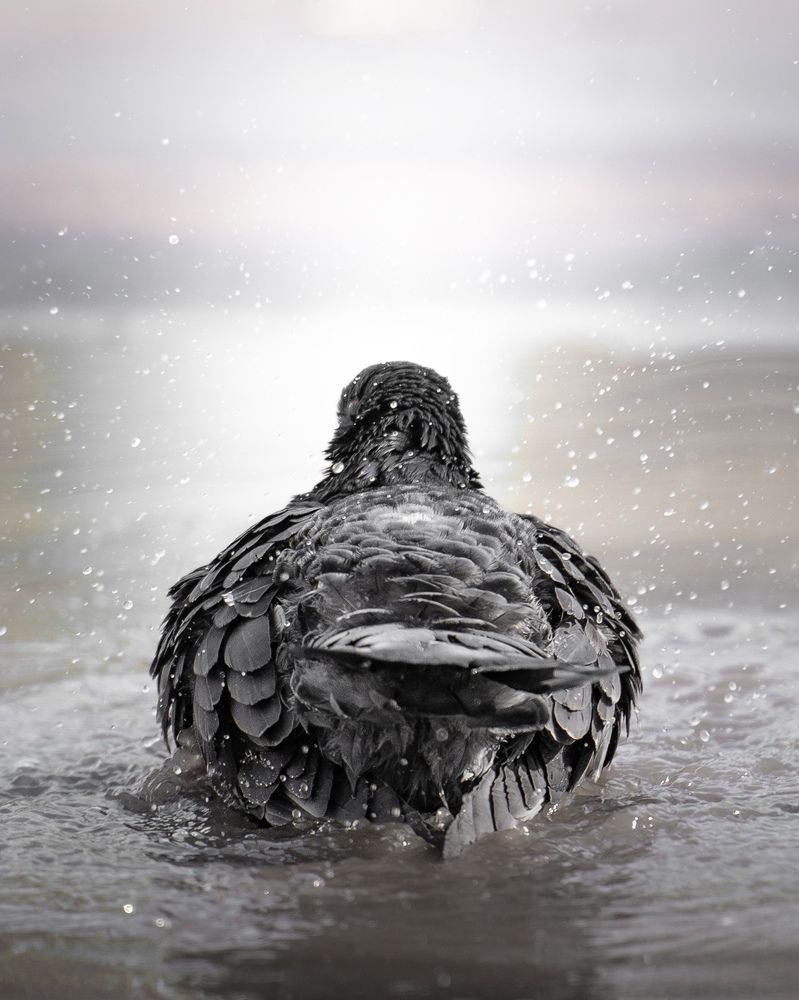 Photograph by T.Ю. Гринько