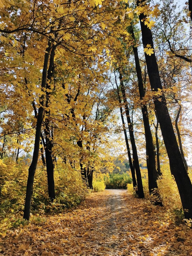 Photograph by Екатерина Кузнецова