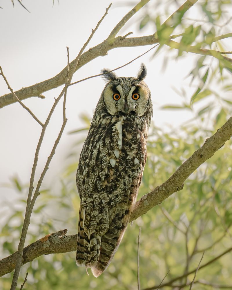 Photograph by Tatiana Grinko