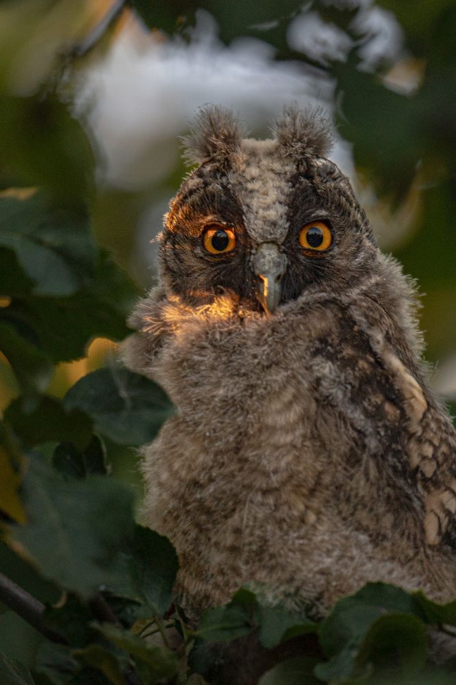 Photograph by Tatiana Grinko