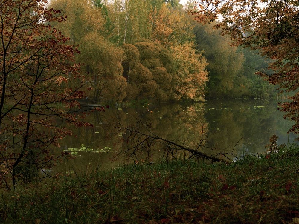 Фотография автора Юрий Володин