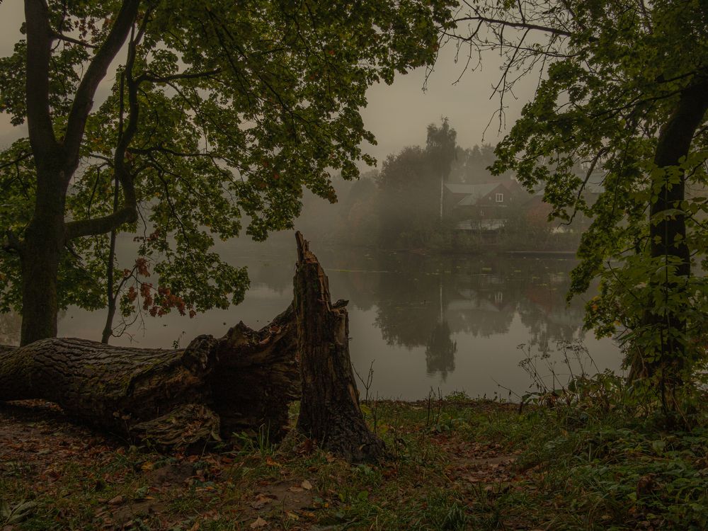 Фотография автора Юрий Володин