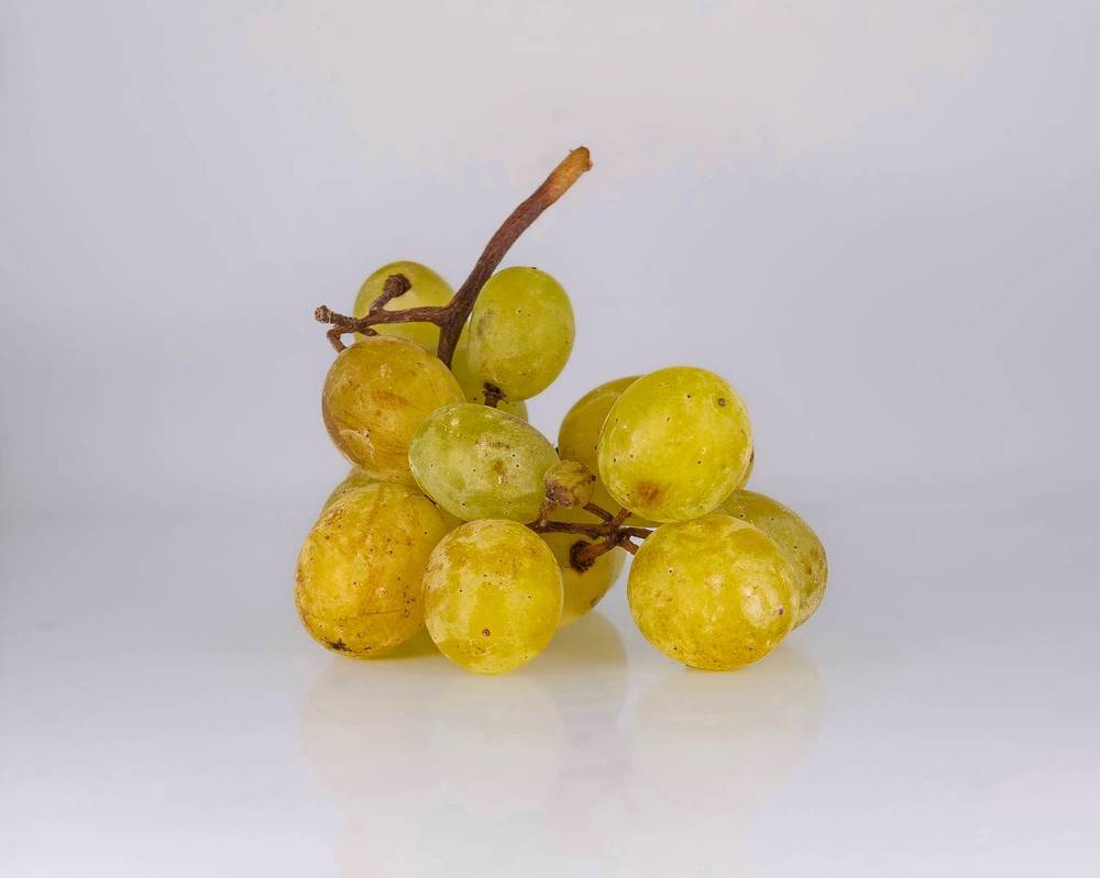 Photograph by Tatiana Grinko