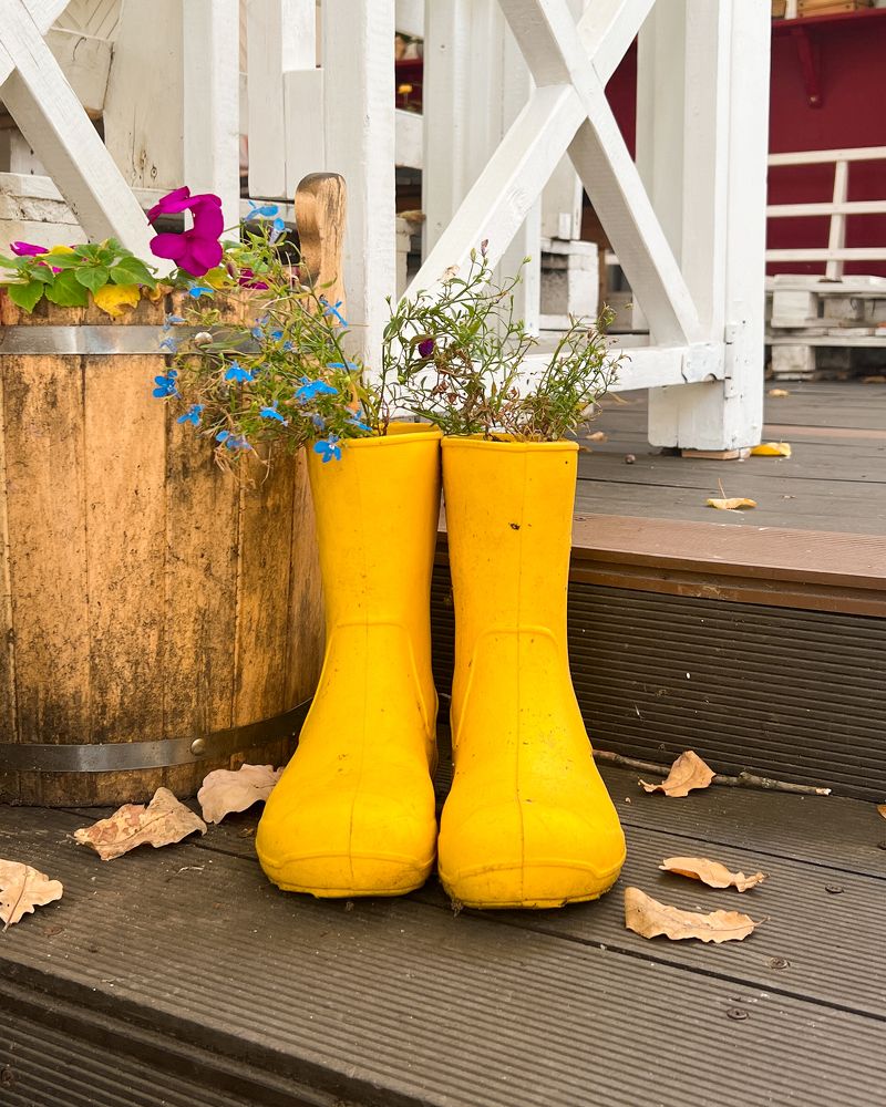 Photograph by Tatiana Grinko