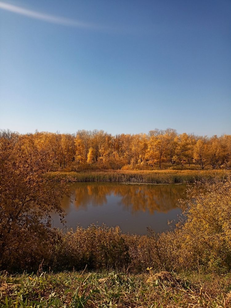 Фотография автора Татьяна Шахова