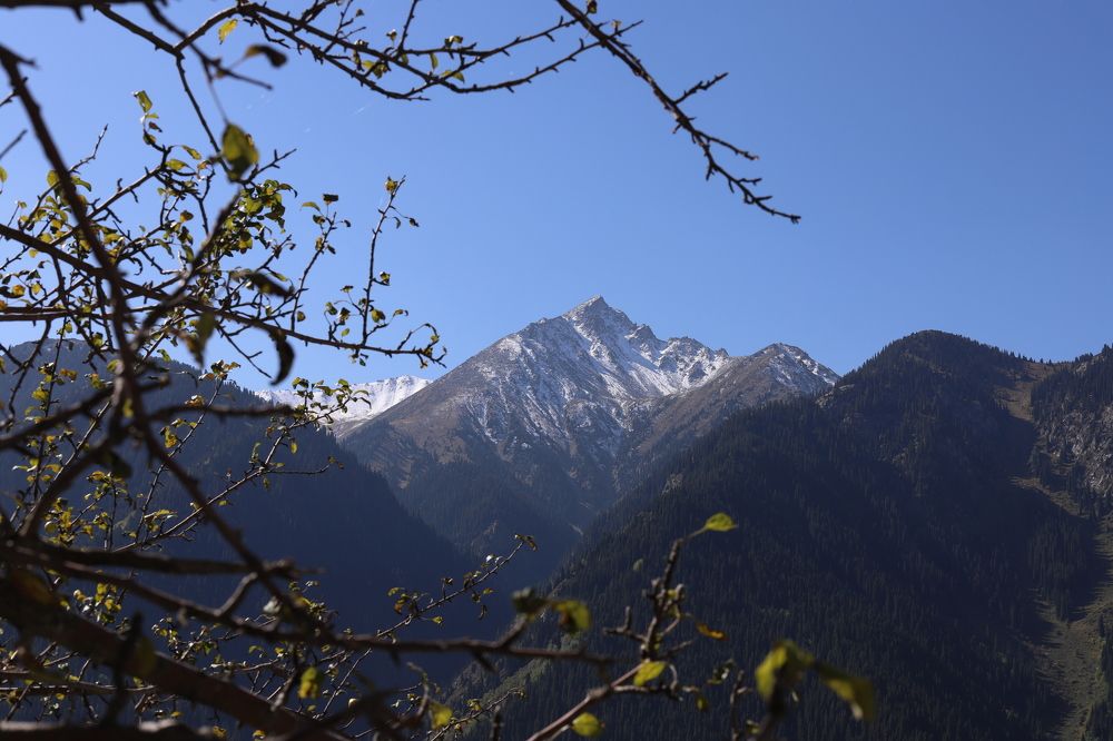 Photograph by Екатерина Журавлева