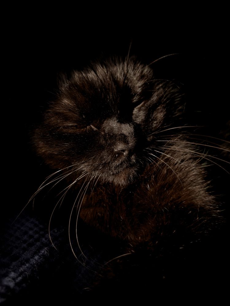 Photograph by ElenaGrebenyuk