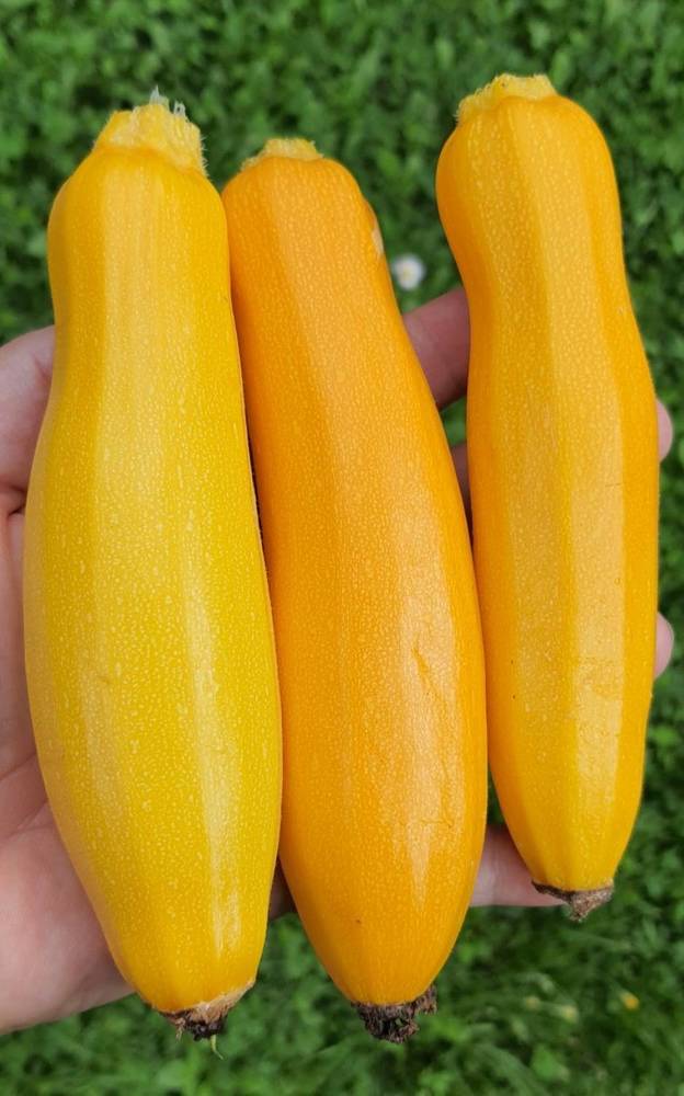 Photograph by Виктория Образцова