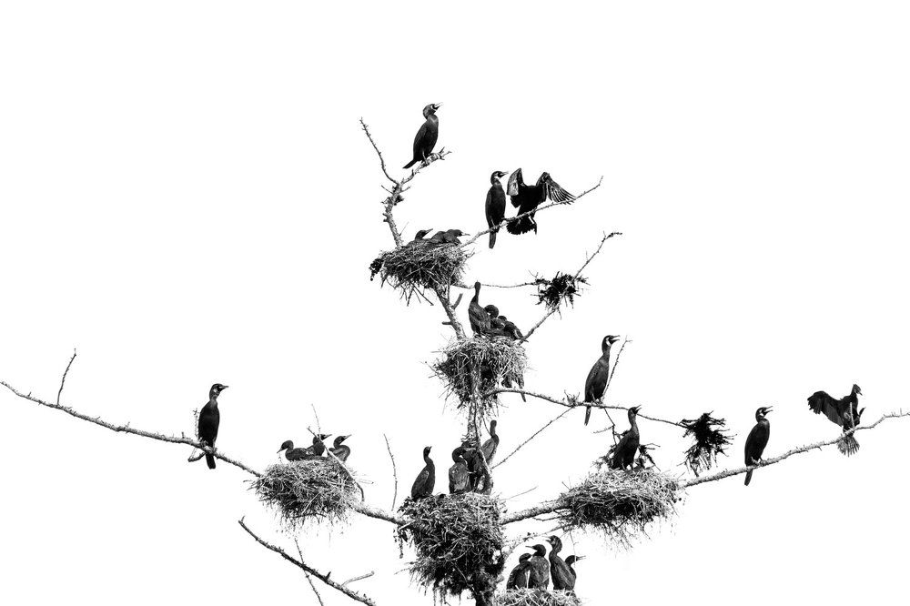 Photograph by Щипкова Елена