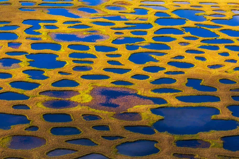 Photograph by Щипкова Елена