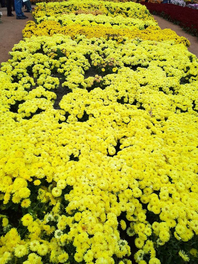 Photograph by Виктория Образцова