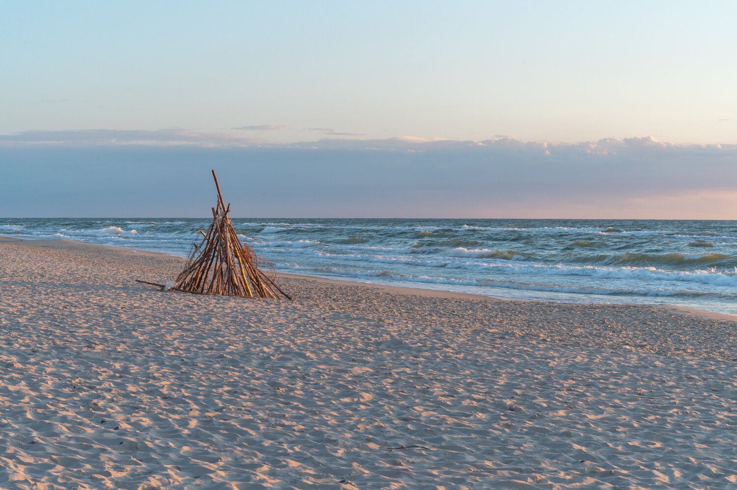 Photo #11115209