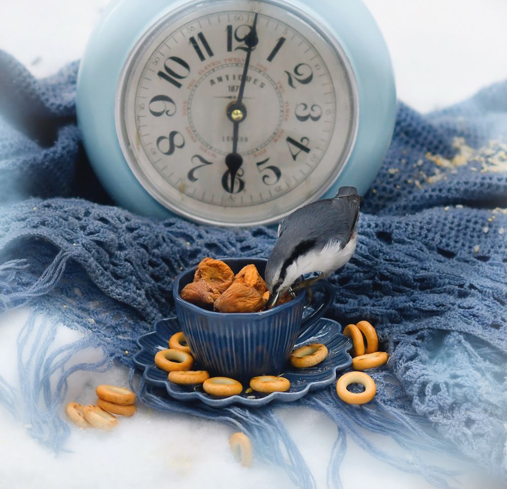 Photograph by Marina Ivanova