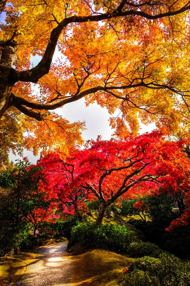 Photograph by mak takano