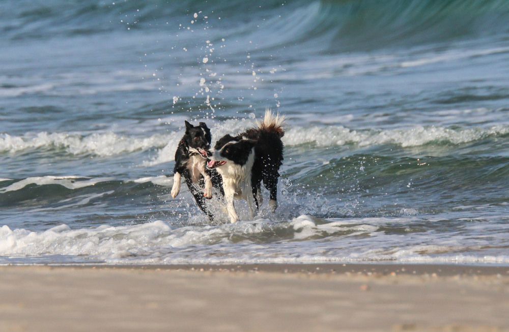 Photograph by Валентина Лопаткина