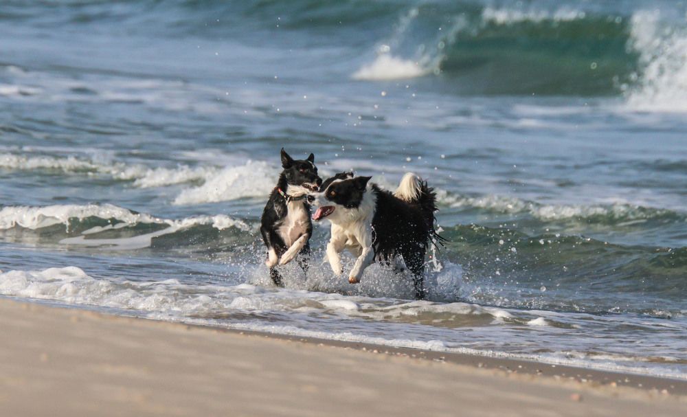 Photograph by Валентина Лопаткина