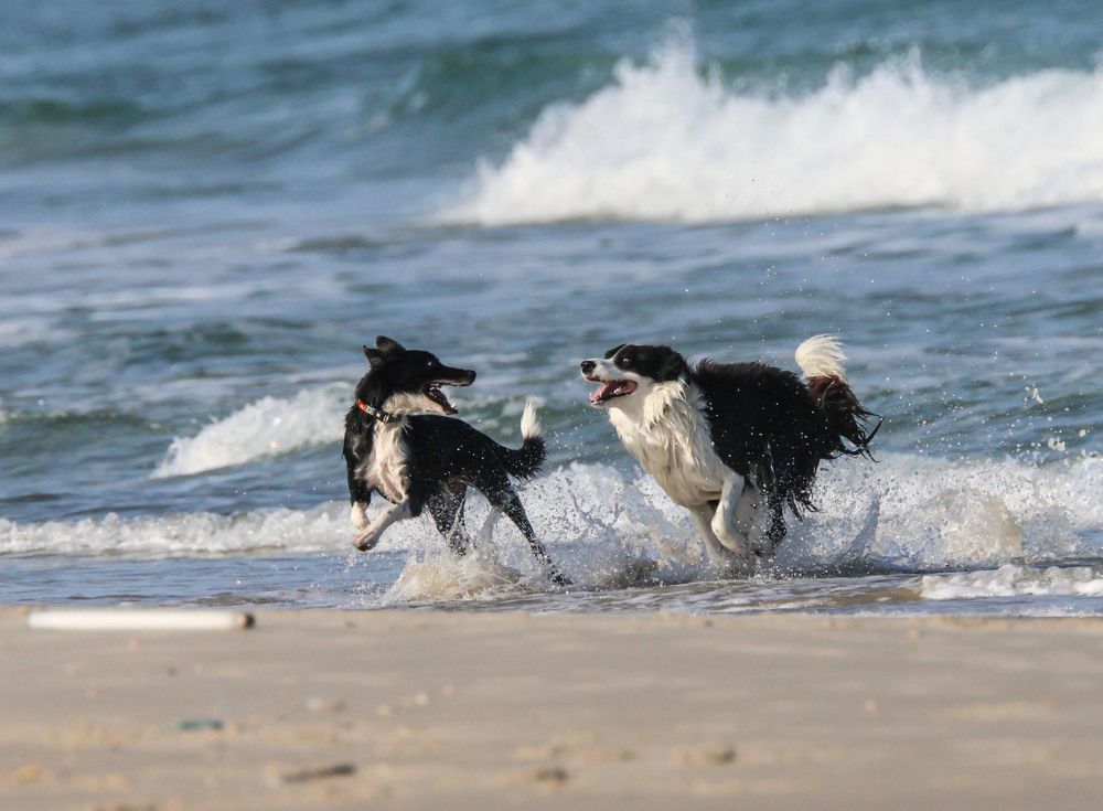 Photograph by Валентина Лопаткина