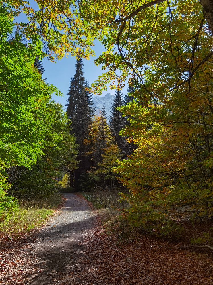 Photograph by Igor M.