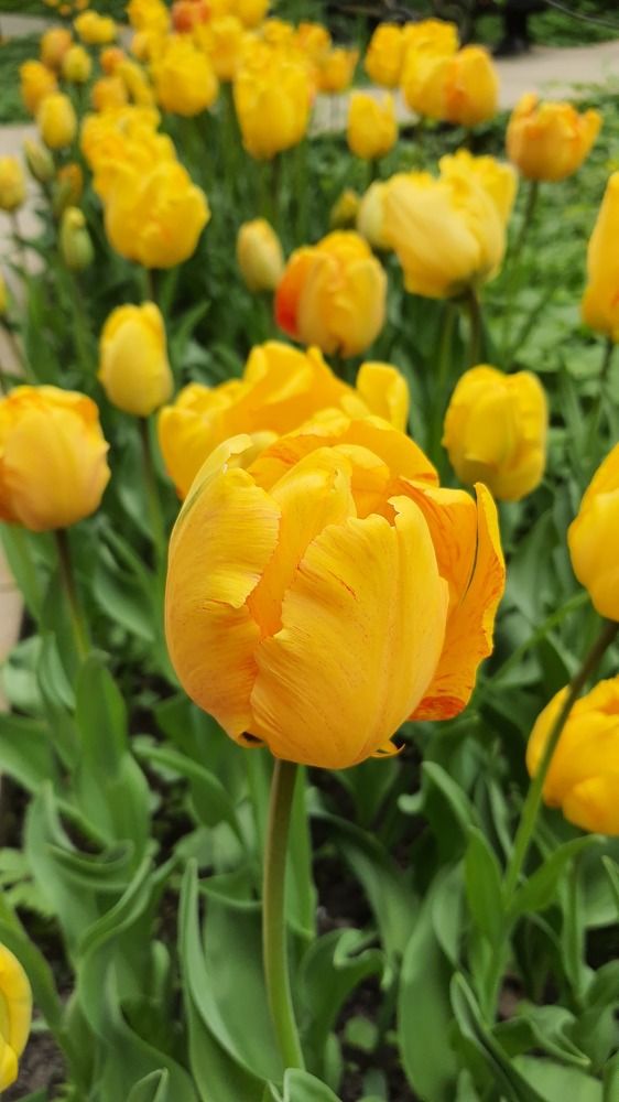 Photograph by Виктория Образцова