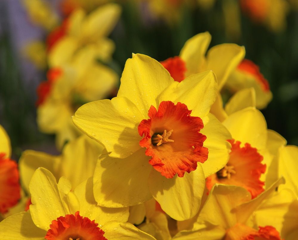 Photograph by Алексей Хазов