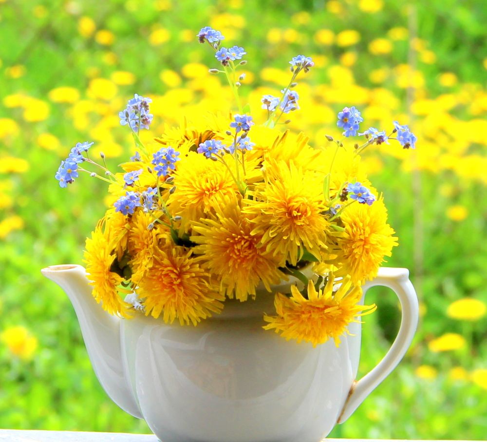 Photograph by Жанна Нечаева