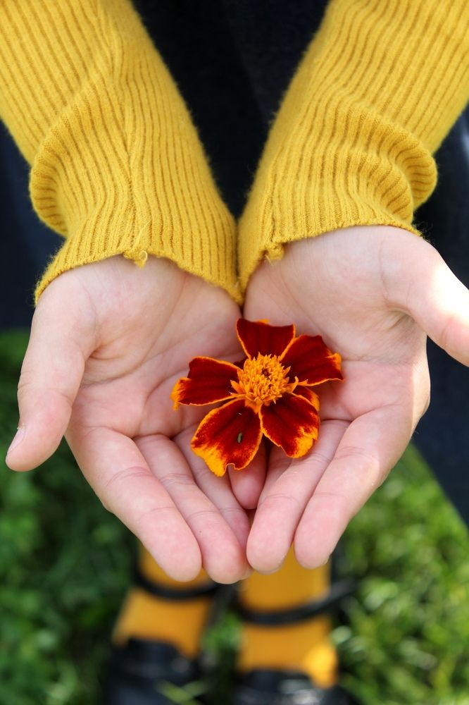 Photograph by Козлова Ольга