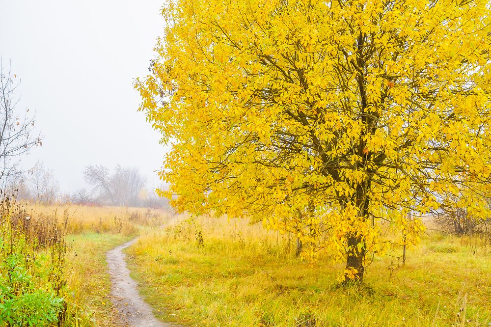 Photograph by Алексей Трифонов