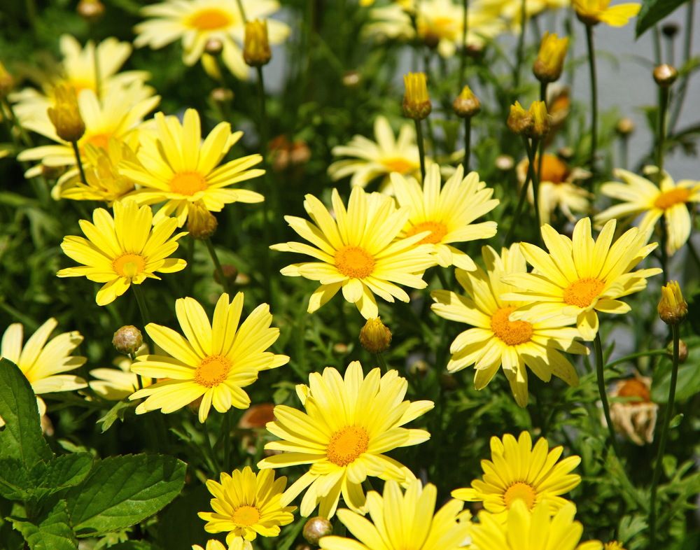 Photograph by Алексей Хазов