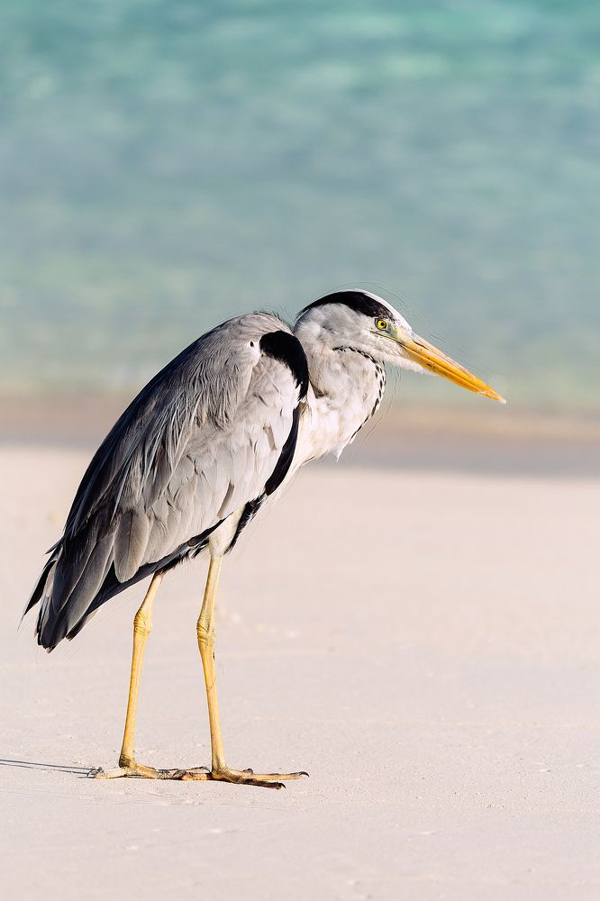 Photograph by Elena Gebert