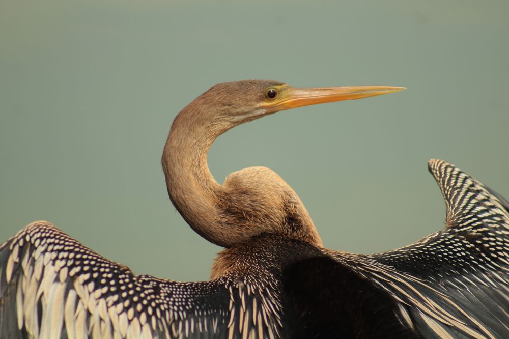 Photograph by Ricardo Venerando