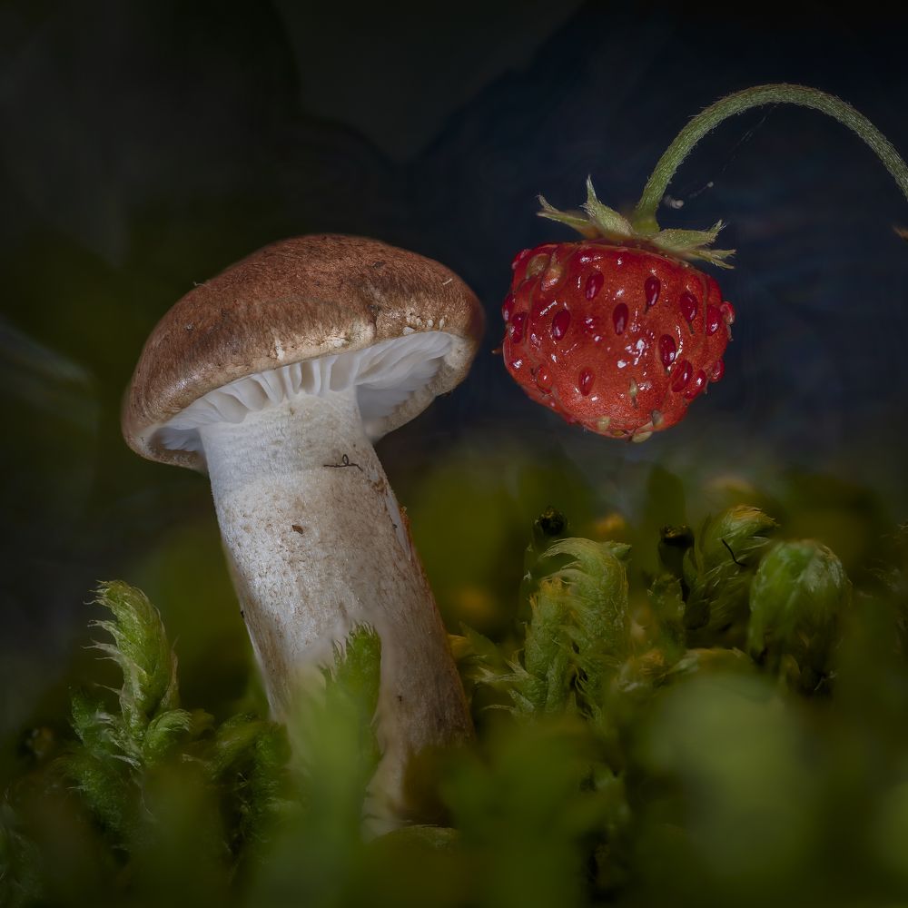 Свидание (Date)