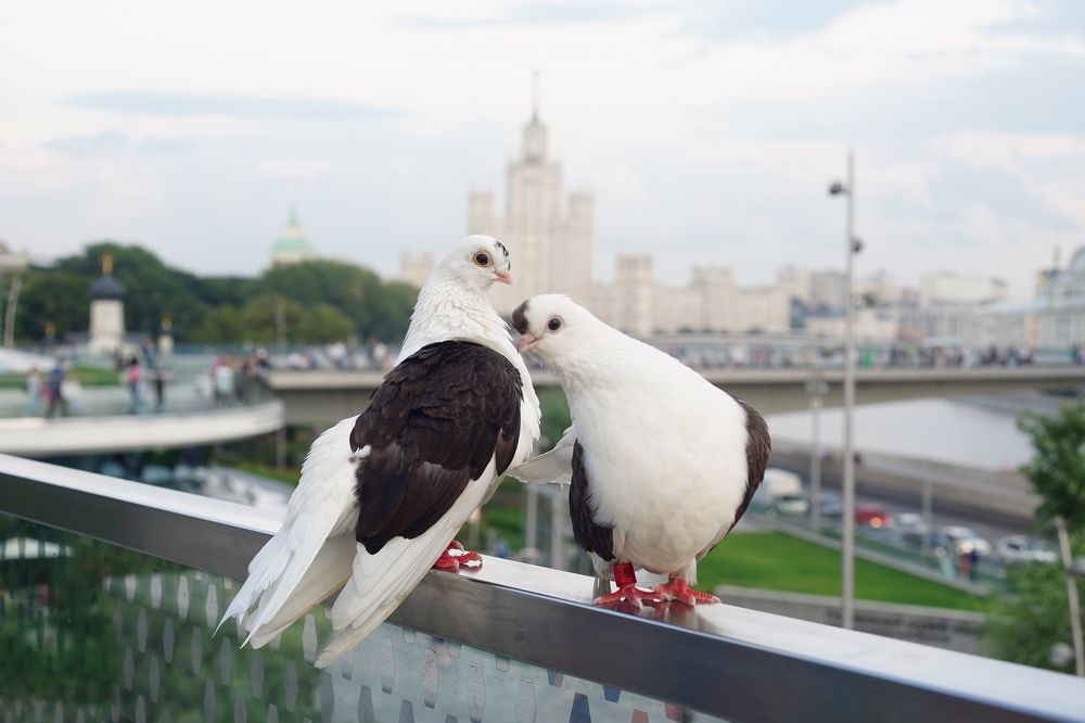 Photograph by Игорь Кад