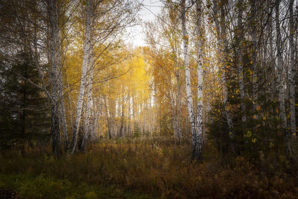 Фотография автора Татьяна Добровольская