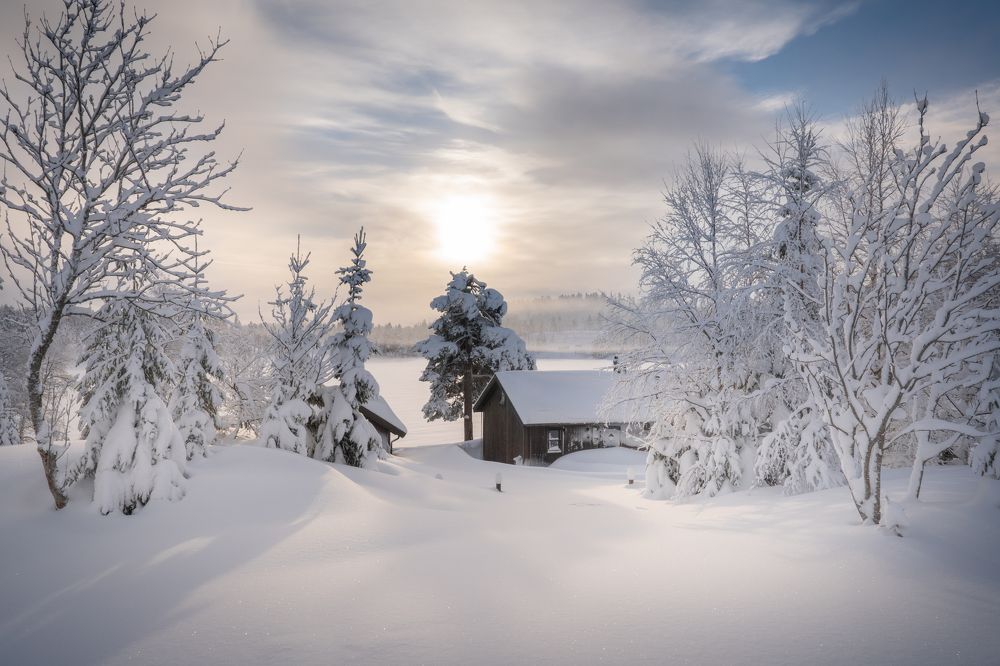 Photograph by Susn Jensen