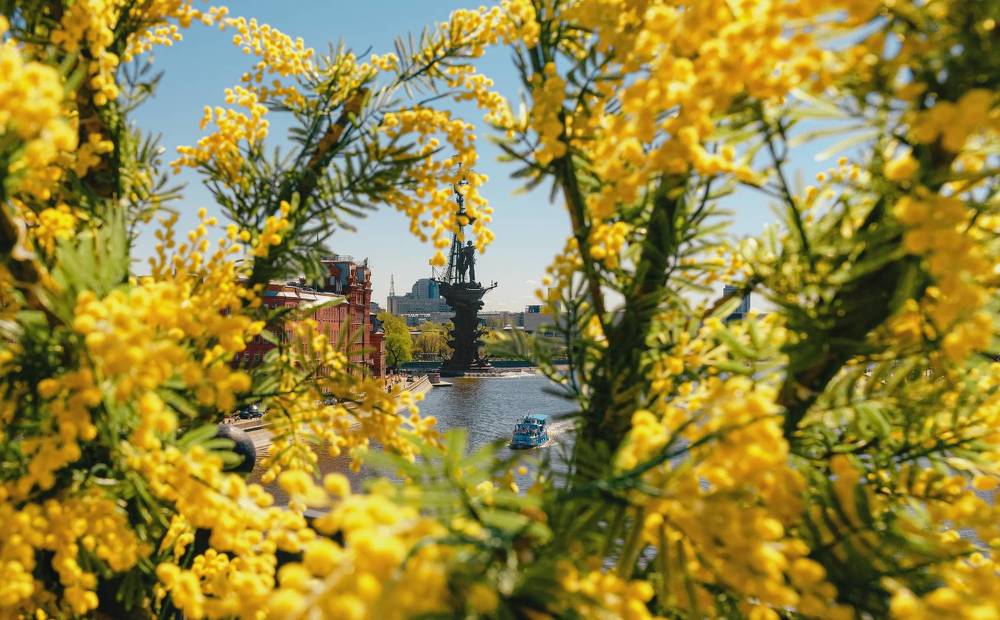 Фотография автора Анастасия Мазурева